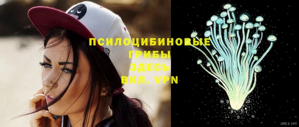 прущая мука Алзамай