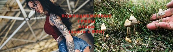 хмурый Алексеевка