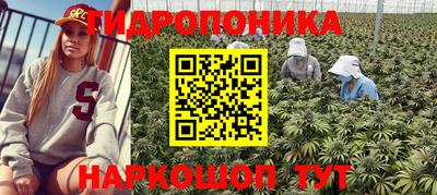 СК Жуковский