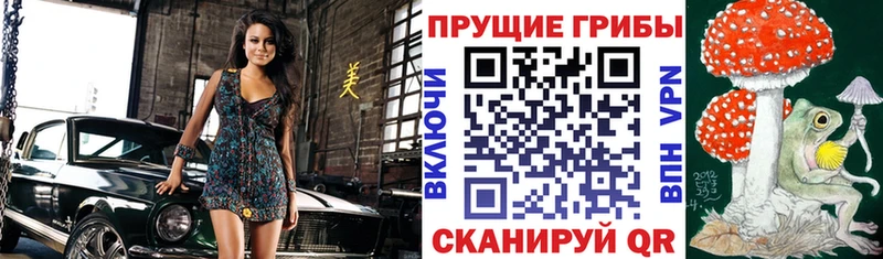 Псилоцибиновые грибы GOLDEN TEACHER  Нарткала 