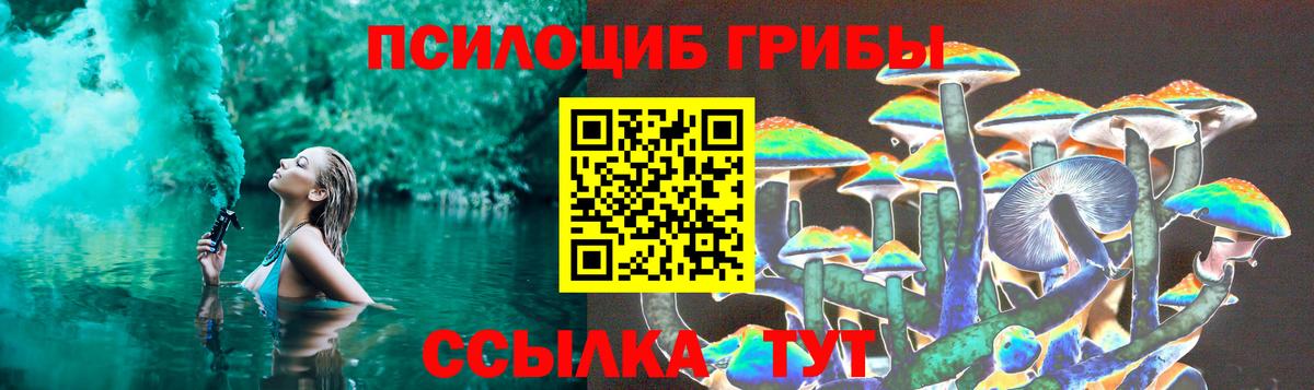 Нарткала  Галлюциногенные грибы прущие грибы  Вход с VPN  Псилоцибиновые грибы Magic Shrooms 