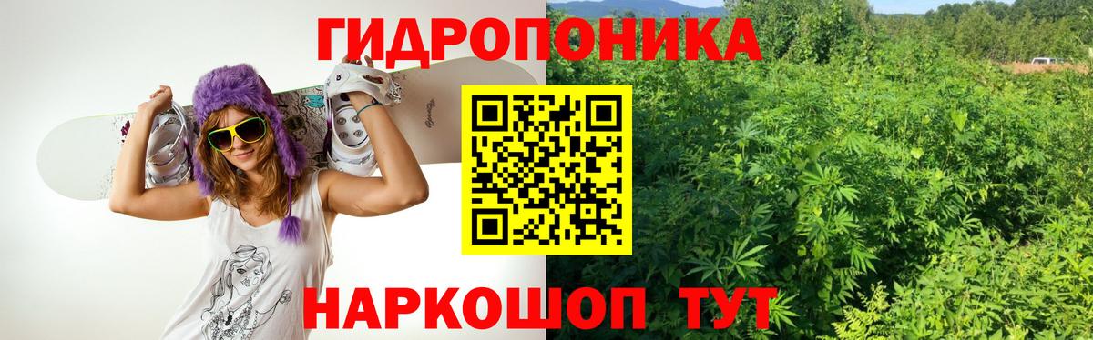 Марихуана гибрид Нарткала